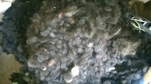 Ball Hair