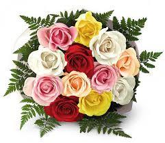 Multi Colored Fresh Rose