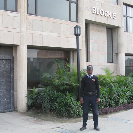 Commercial Security Guard