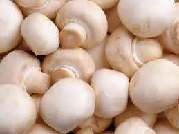 mushroom