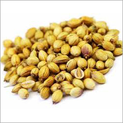 Organic Coriander Seeds