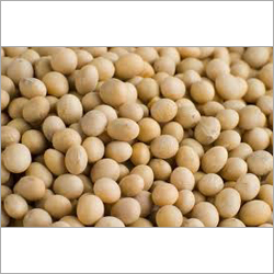 Organic Soybean