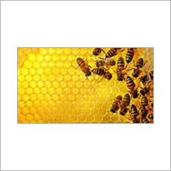 Fresh Honey
