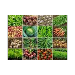 Green Vegetables