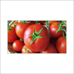 Red Tomato