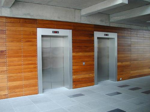 Auto Door Lift