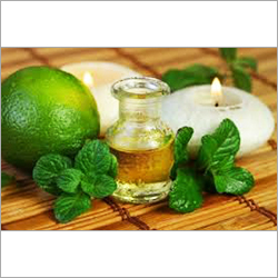 Mint Essential Oils