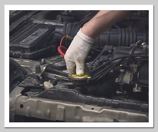 Radiator Coolant - Synthetic, Amber, Boiling Point 120°C, Freezing Point -35°C | Phosphate-Free, Silicate-Free, Corrosion Inhibitor, Hard Water Stable