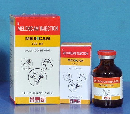 Meloxicam Injection 