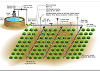 sprinkler irrigation