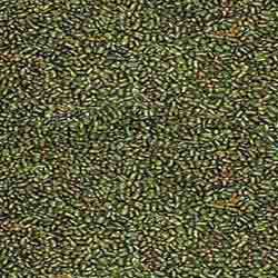Seeds