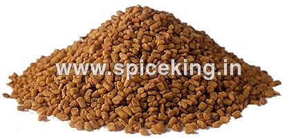 Fenugreek