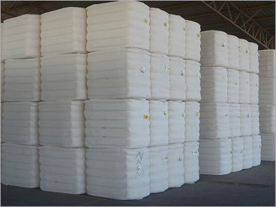 Cotton Bales