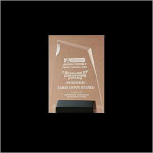 Custom Acrylic Trophy