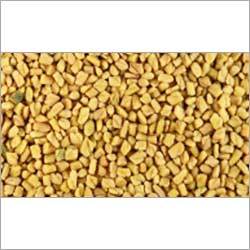 Fenugreek