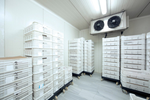 Fruits Cold rooms