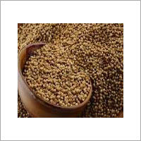 Coriander Seeds