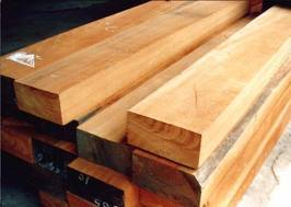 Timber Planks - Kail & Meranti Wood, Variable Size | High Strength, Termite Resistant, Weather Resistant, Natural Finish