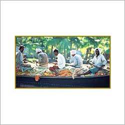 Kerala Backwater Tour Packages