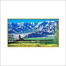 Ladakh Tour Packages By RENAISSANCE REIZEN (INDIA) PVT. LTD.