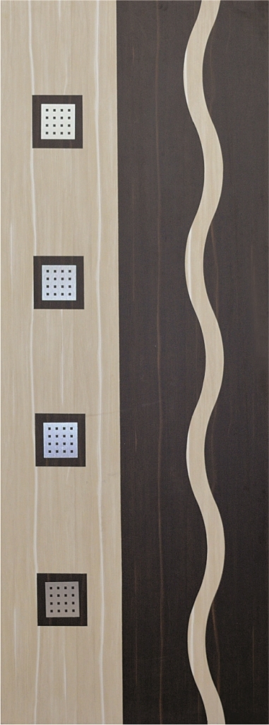 Designer Laminated Door