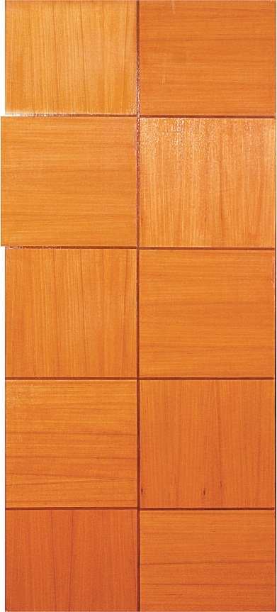 Door Skin Plywood