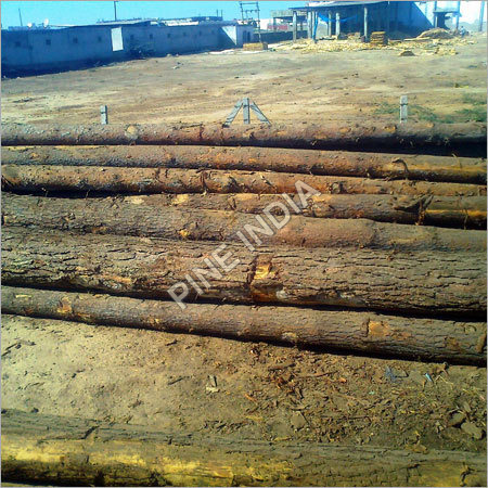 German Pine Logs Density: 16-20 Kg/M