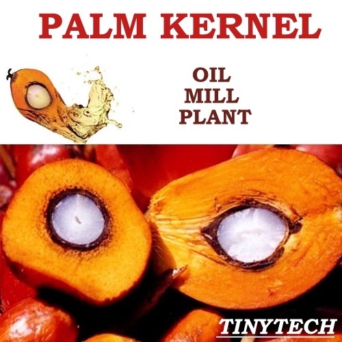 Palm Kernel Oil Mill Plant