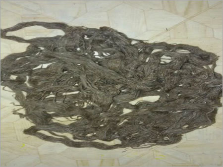 Tassar Nassi Yarn