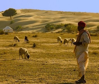 Jaisalmer Weather