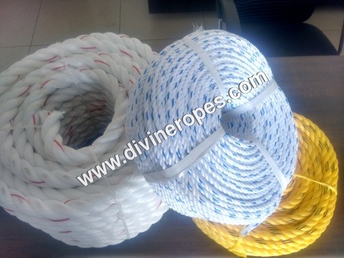 PP Ropes PP Ropes