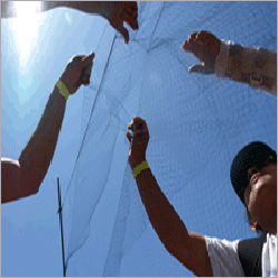 Bird Protection Net