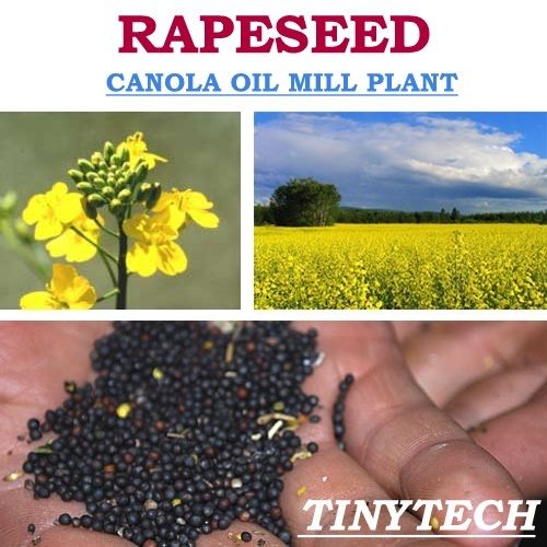 Rapeseed Canola Oil Mill Plant