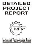 Industrial project report