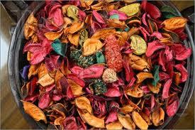 Dried Flowers