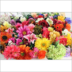Silk Flowers