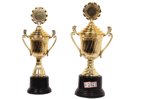 fiber trophie with round fiber base
