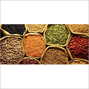 Indian Pulses