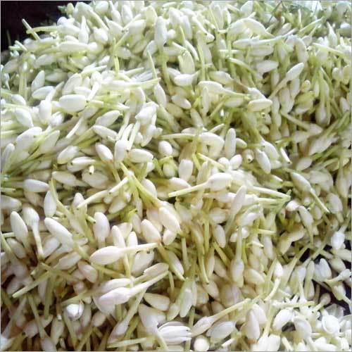 Fresh Mullai Flower