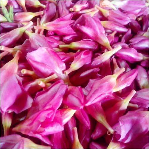 Aralli Flower