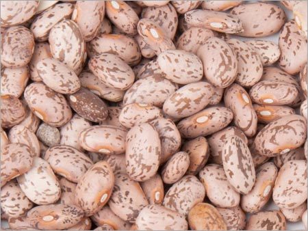 Dried Pinto Beans