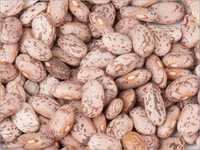 Dried Pinto Beans