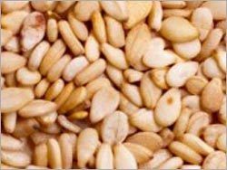 Sesame Seeds