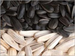 Sunflower Seeds