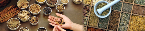 Ayurvedic Medicines & Products