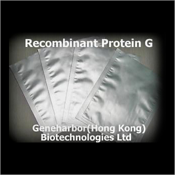Recombinant Protein G