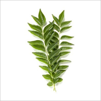 Curry Leaves