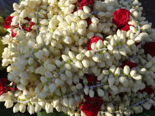 malligai flowers