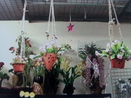 Hanging Gardens
