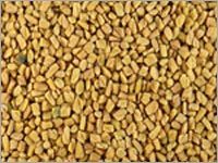 Organic Fenugreek Seed